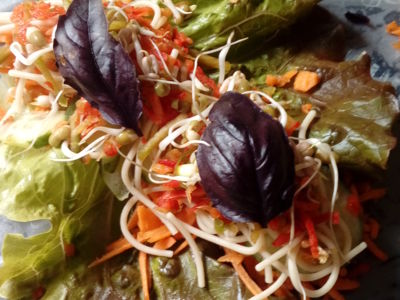 ROULEAU DE PRINTEMPS