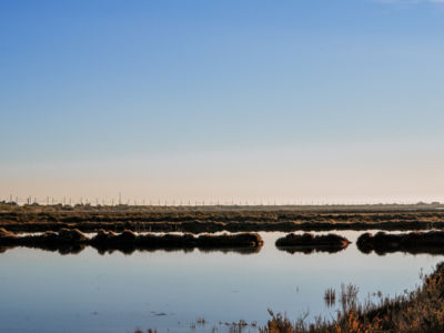 Les salins de Villeroy