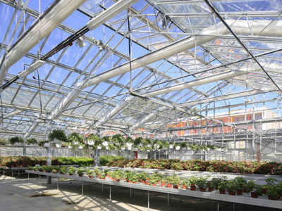 Serre la Frondaie Lycee-Honore-de-Balzac-Castelnau-31