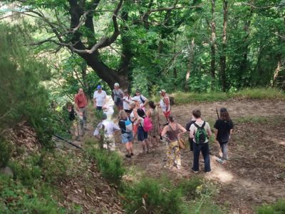 Sous les chataigniers - LE RUCHER DES ARTS
