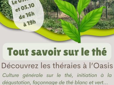 ATELIERS "TOUT CONNAÎTRE SUR LE THÉ" AVEC THAÏS... Le 5 oct 2024