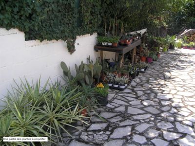 Une partie des plantes à emporter