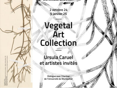 EXPOSITION "VEGETAL ART COLLECTION, URSULA CARUEL ET ARTISTES... Du 2/10/2024 au 5/1/2025