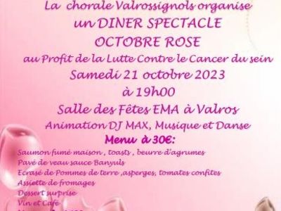 GRANDE SOIRÉE GALA - VALROS Le 21 oct 2024