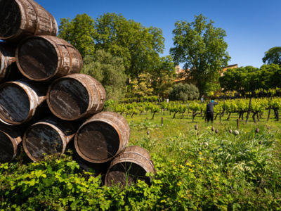 Abbaye Sainte-Marie de Valmagne
