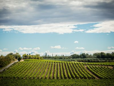 colines du Bourdic - Broudic -
