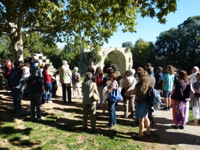 VISITE GUIDÉE CLASSIQUE DU SITE ARCHÉOLOGIQUE AMBRUSSUM Du 14 au 21 déc 2024