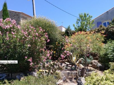 Vue partie supérieure du jardin (2)