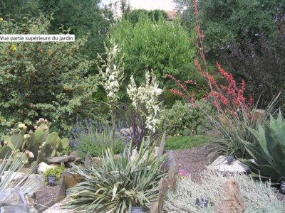 Vue partie supérieure du jardin
