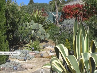 Vue partie supérieure du jardin 1