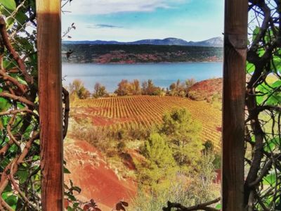 Image 2020-11-04 at 20.00.48