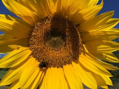 WhatsApp Image 2022-05-20 at 10.06.07