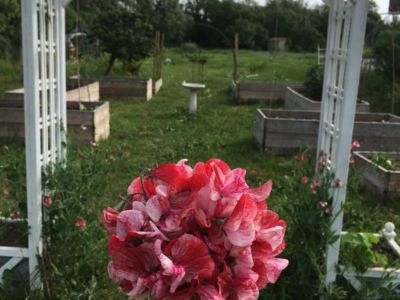 WhatsApp Image 2022-05-20 at 10.06.08 (1)