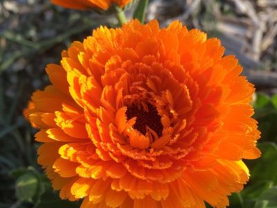 WhatsApp Image 2022-05-20 at 10.06.08 (2)