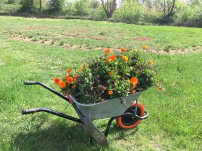 WhatsApp Image 2022-05-20 at 10.06.08