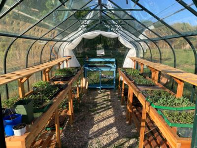 WhatsApp Image 2022-05-20 at 10.07.01