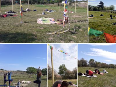 Yoga adultes, ados, enfants, familles... en salle ou au coeur de Dame Nature