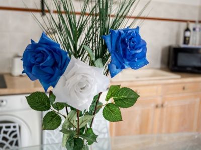 Gite Le pic st loup_9