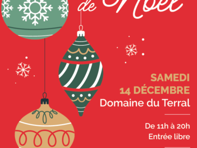 MARCHÉ DE NOËL - SAINT-JEAN-DE-VÉDAS Le 14 déc 2024