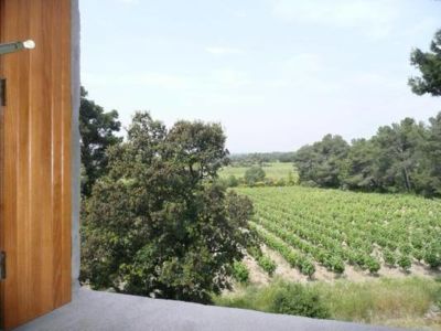 LA BERGERONNETTE Vue sur le vignoble.