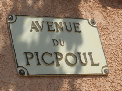 Cave de l'Ormarine à Pinet - Av du picpoul