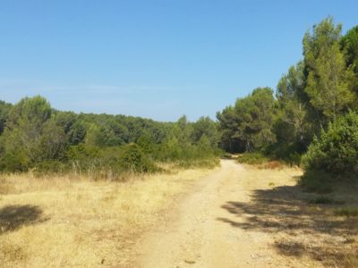 Villa le Crès_20