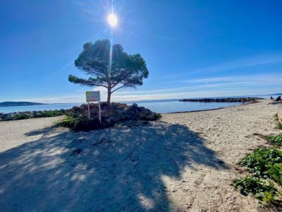 La gavina a meze me 164_8