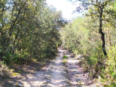 Carrières de Beaulieu Sussargues