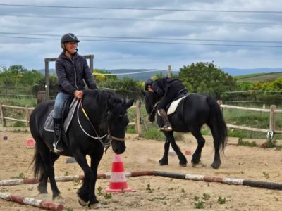 cours équitation pleine nature