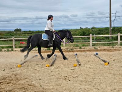 cours équitation