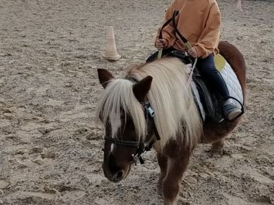 cours poney