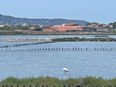 Maison de la plage_6