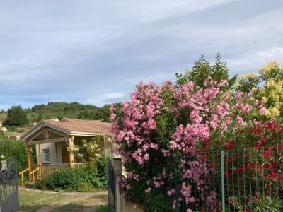 Les lauriers roses_2