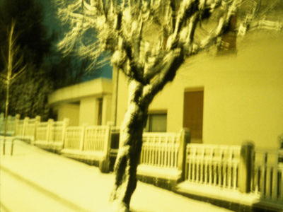 dolores-marat-l-arbre-qui-marche-if-2026-19271730