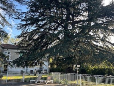 Chambre N°4 Pin Silvestre_7