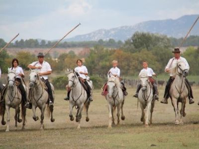 Gite Le pic st loup_16