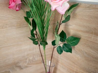 Gite les roseaux_6