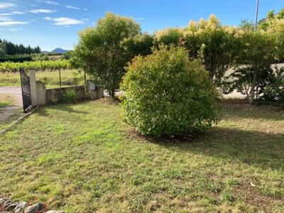 Les lauriers roses_13