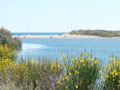 Maison à portiragnes plage_7