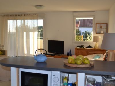LES PALMIERS A MEZE ME 168 *** 4 personnes_4