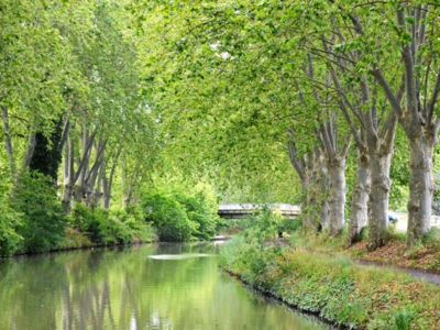 fluvial-(2)