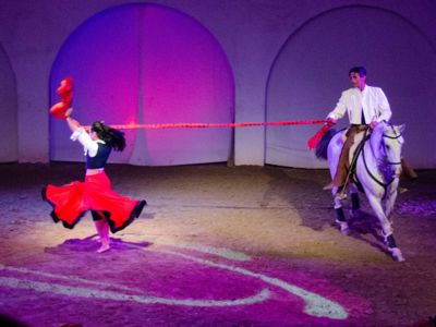 Spectacle Cabaret Equestre des Sables