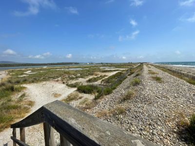 frontignan-plage-près-salés-et-digue