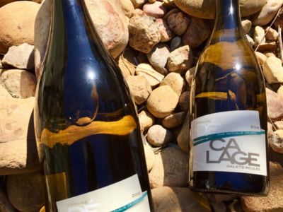 galets-roules-vin-blanc-bio-les-vins-bio-de-france