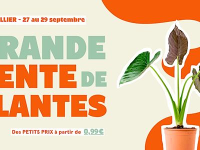 GRANDE VENTE DE PLANTES À MONTPELLIER