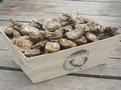 huitres-rouzieres-etang-thau-Rouzieres-9_1