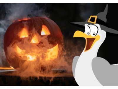 CENTRE HISTORIQUE POUR LES ENFANTS AVEC PERETTE LA MOUETTE - SPÉCIAL HALLOWEEN