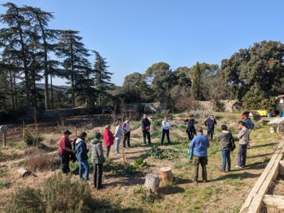 CHANTIER PARTICIPATIF "PLANTATION D