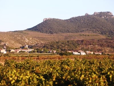 mas d' estelle