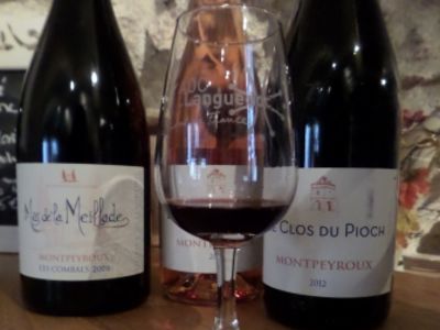 mas de la meillade montpeyroux (2)